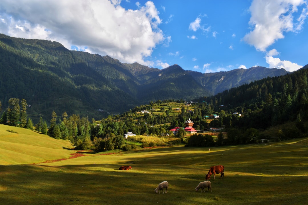 Kasol